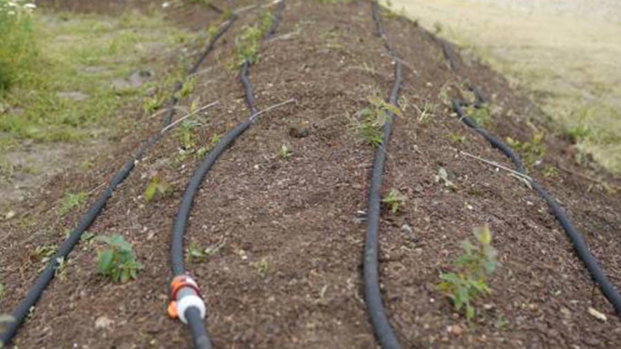 Tuyau d'arrosage micro-poreux - GARDENA – Semences du Portage